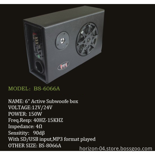 Subwoofer Car Audio (BS-6066A)